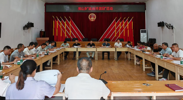 人民政府在社會經濟咨詢服務中的角色與功能