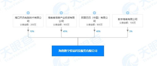 海南數(shù)字貿(mào)易科技服務(wù)公司成立，阿里巴巴持股40%引領(lǐng)數(shù)字技術(shù)服務(wù)新浪潮